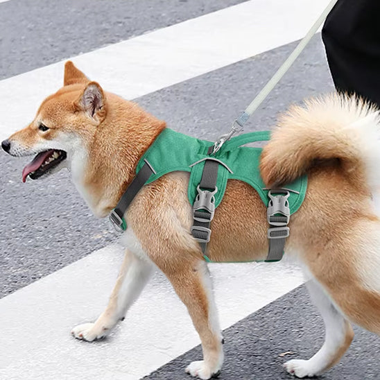 harnais-chien-anneau-metal-resistant