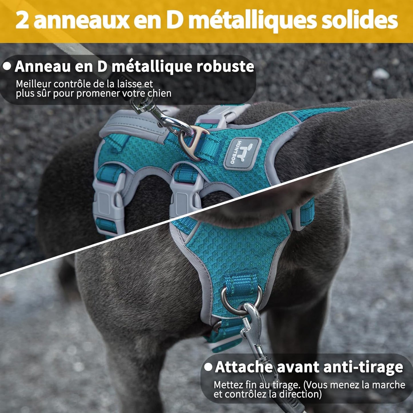 harnais-chien-matelasse-confort-respirant