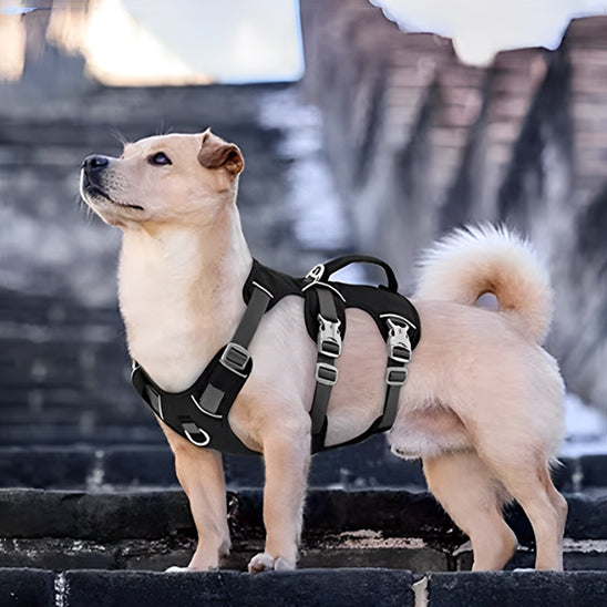 harnais-chien-voyage-poignee-securite