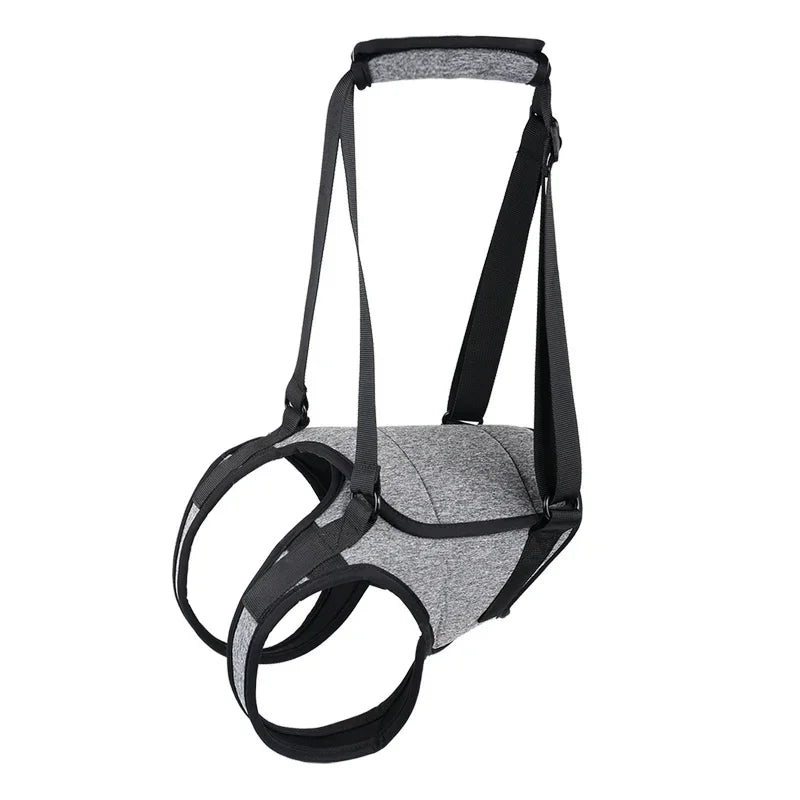 harnais-orthopédique-chien-sécurité