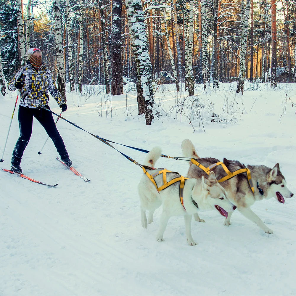 harnais-pour-chien-attelage-jaune