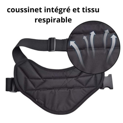 harnais-pour-chien-avec-coussinet