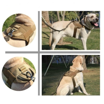 harnais-pour-chien-avec-poignée-kaki