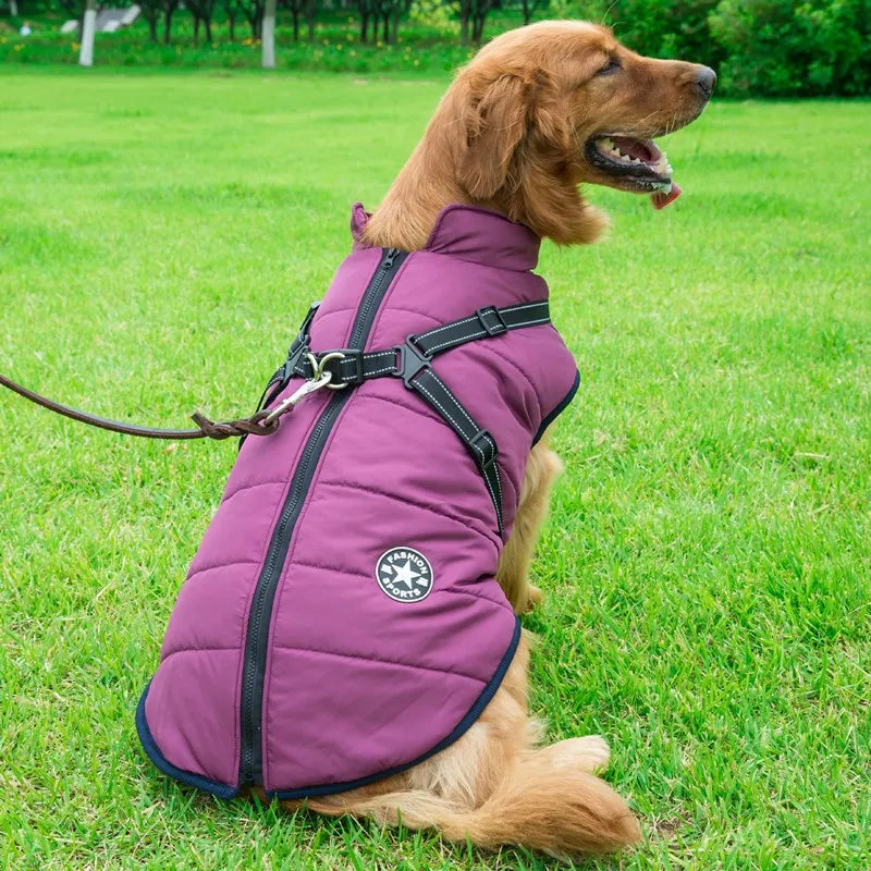 harnais-pour-chien-manteau-confortable