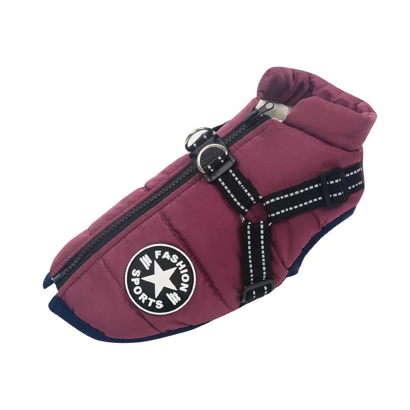 harnais-pour-chien-manteau-violet