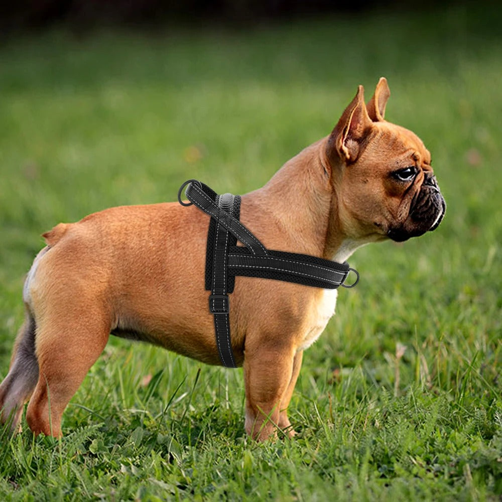 Harnais pour chien || Sentinelle™ - Fidèle Compagnon
