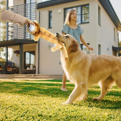 jouet-pour-chien-amusant-durable-lavable