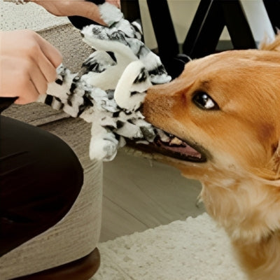 jouet-pour-chien-attractif-et-lavable