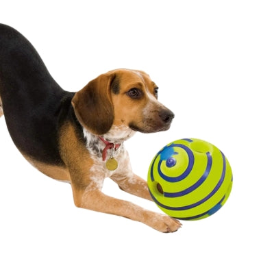 jouet-pour-chien-balle-de-jeu-GIGI