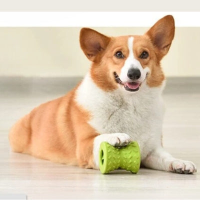 jouet-pour-chien-distractif