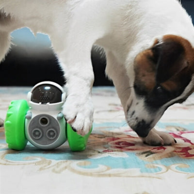 jouet-pour-chien-distributeur-de-friandise-vert