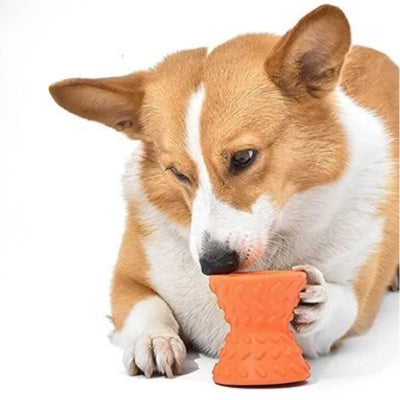 jouet-pour-chien-distributeur-orange