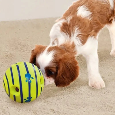 jouet-pour-chien-grosse-balle-de-jeu