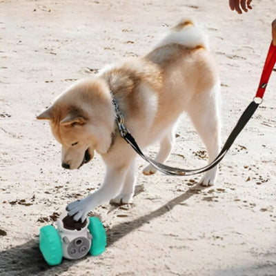 jouet-pour-chien-intelligent