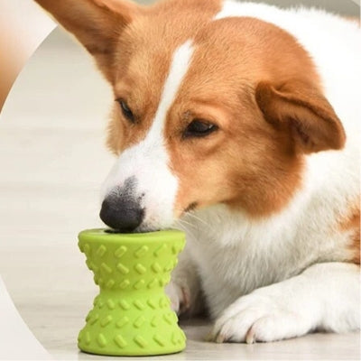 jouet-pour-chien-interactif-avec-croquette