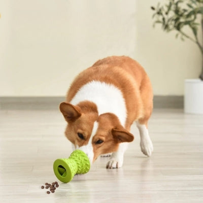 jouet-pour-chien-interactif-vert