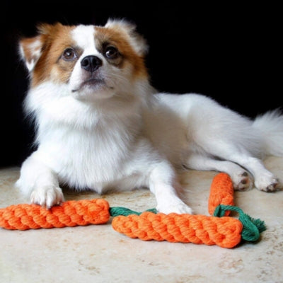 jouet-pour-chien-la-carotte