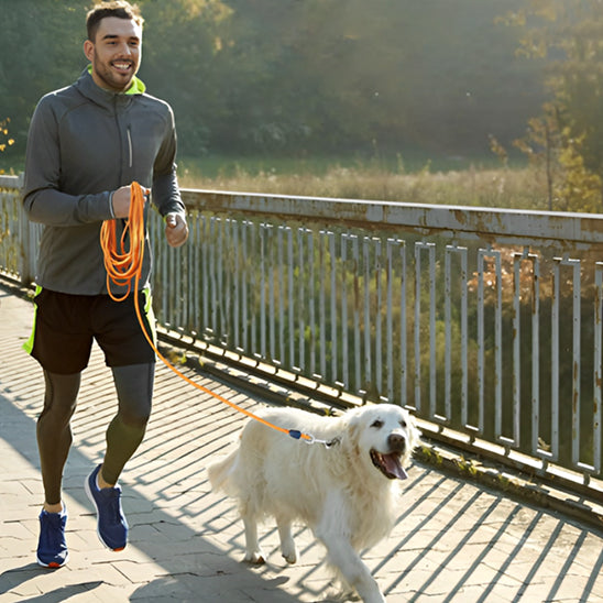 laisse-chien-corde-confortable