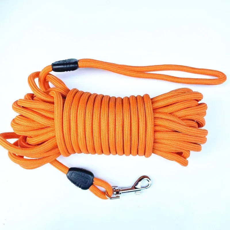 laisse-chien-corde-orange