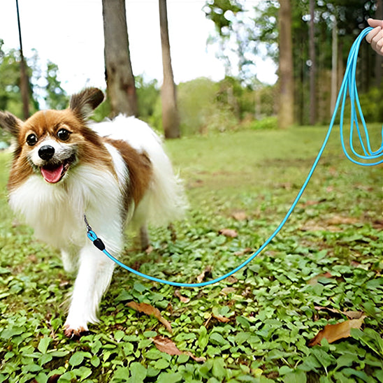 laisse-pour-chien-corde-bleu