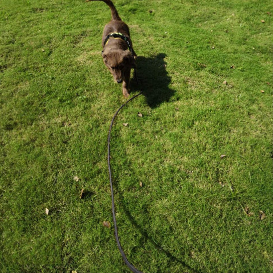 laisse-pour-chien-corde-noire