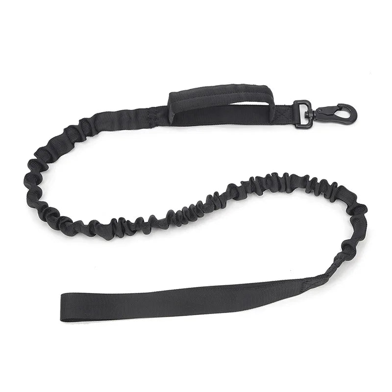 laisse-pour-chien-noire