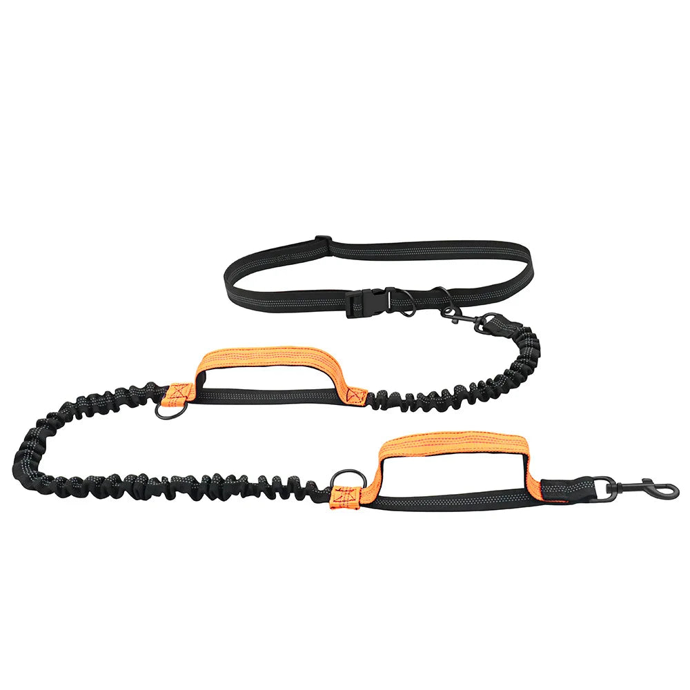 laisse-pour-chien-orange