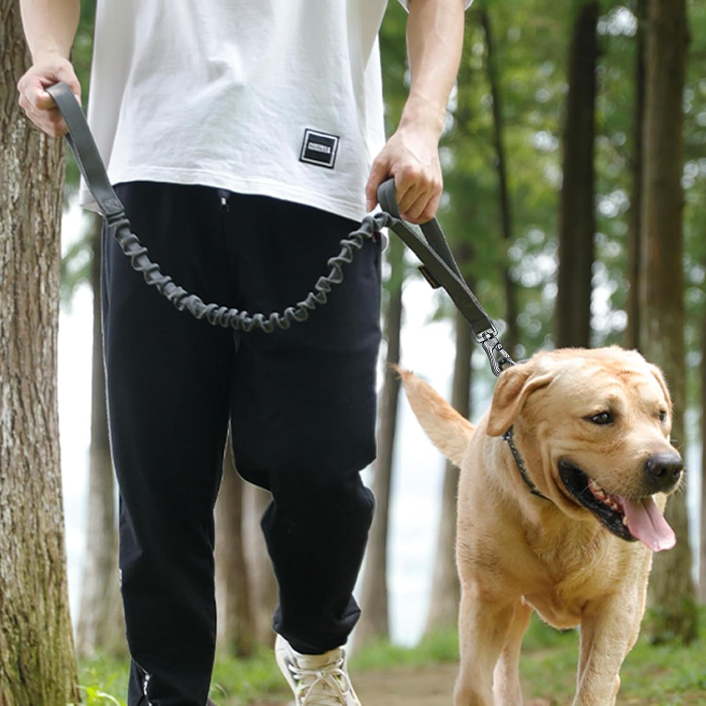 laisse-pour-chien-promenade-securitaire