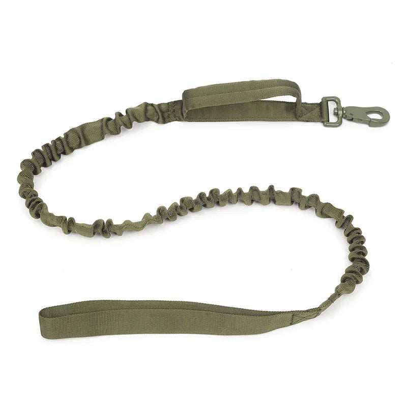 laisse-pour-chien-vert