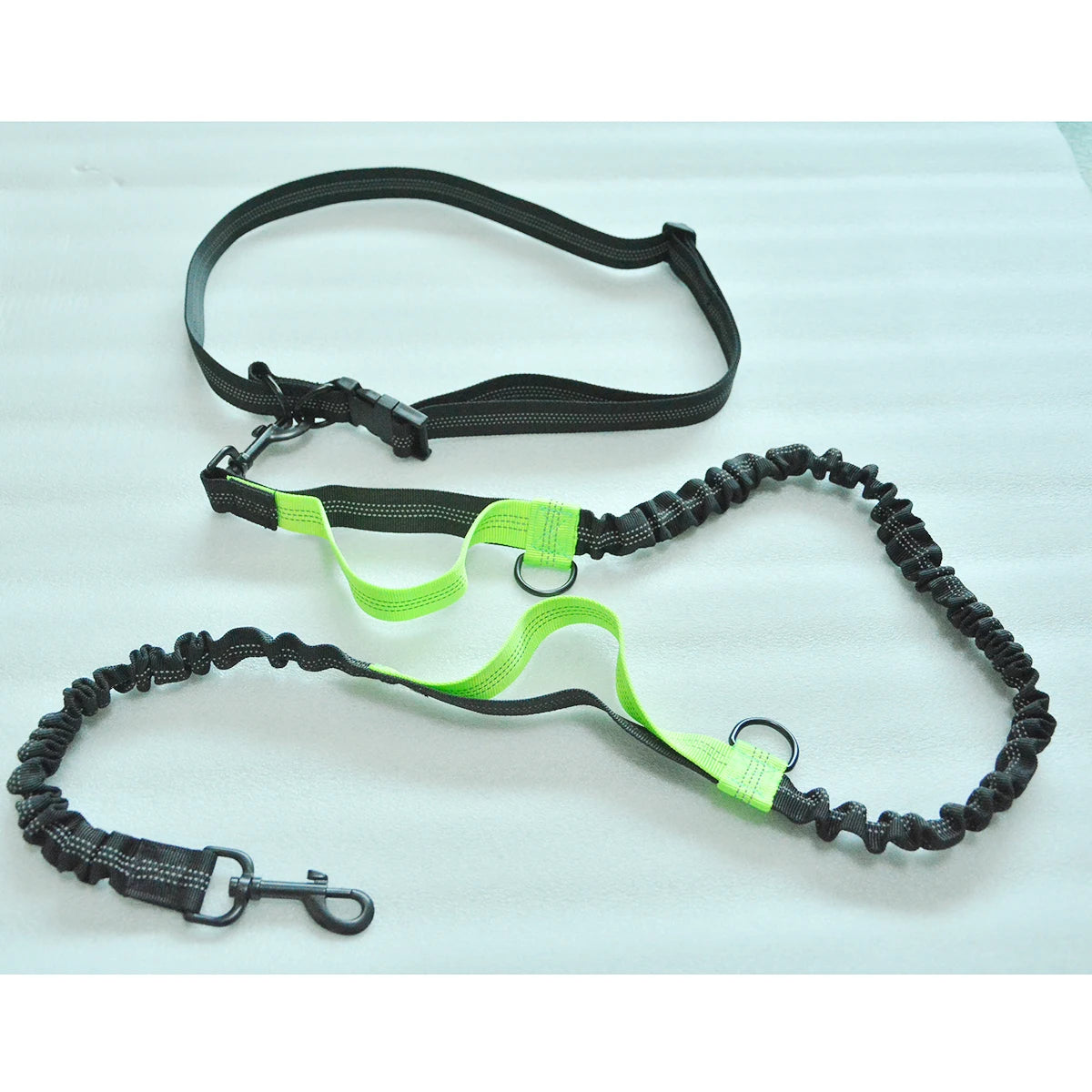 laisse-pour-chien-verte