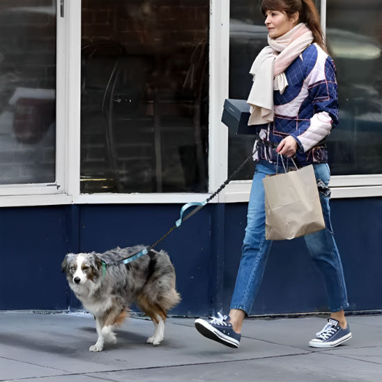 laisses-pour-chien-durable