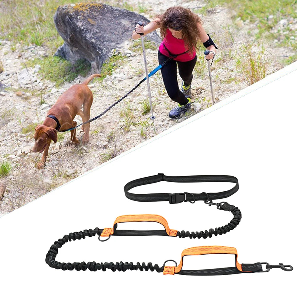 laisses-pour-chien-pour-le-sport