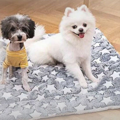 lit-pour-chien-veritable-cocon