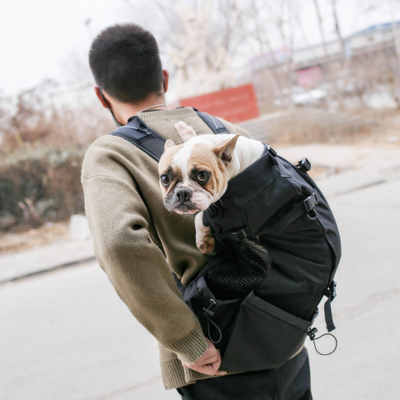 sac-a-dos-chien-pour-moyen-chien