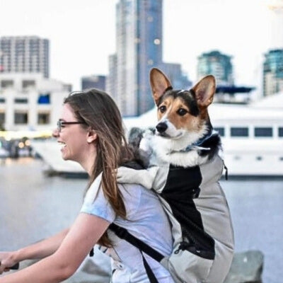 sac-a-dos-pour-chien-velo-leger