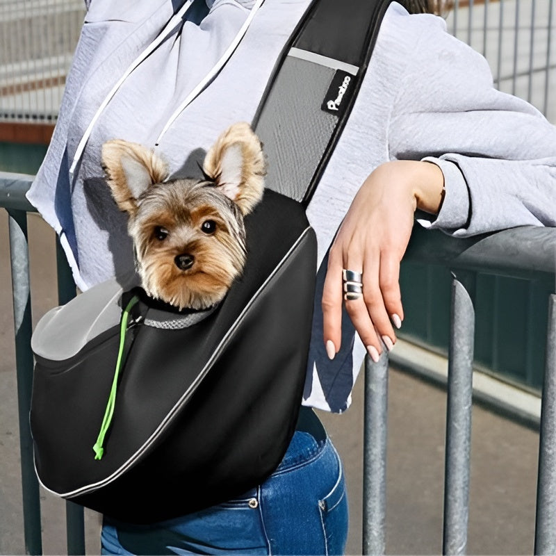 sac-a-dos-pour-petit-chien