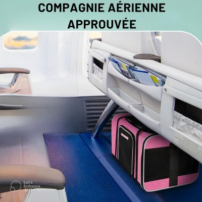 sac-de-transport-chien-approuve-sous-le-siege