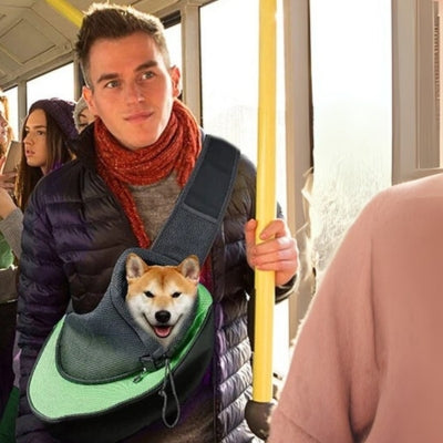 sac-de-transport-pour-chien-urbain