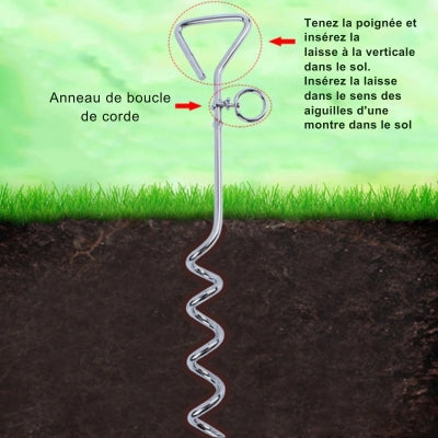 système-attache-chien-rapide