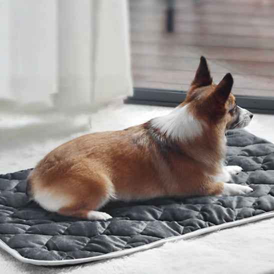 tapis-chauffant-chien-sans-electricite