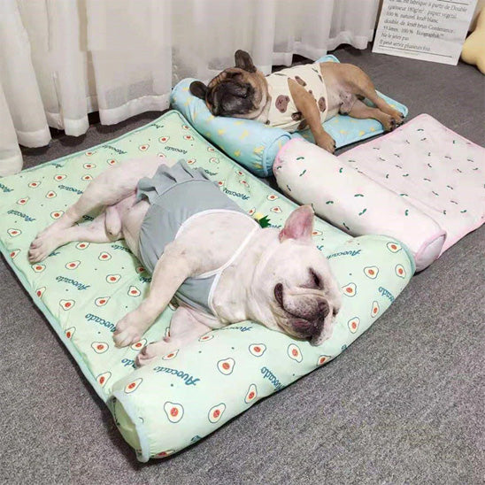 tapis-chien-anti-chaleur-antiderapant