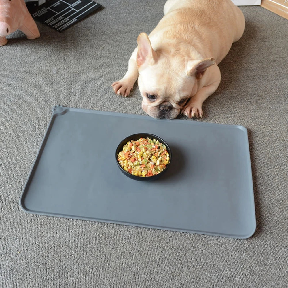 zone-repas-chien-tapis-propre