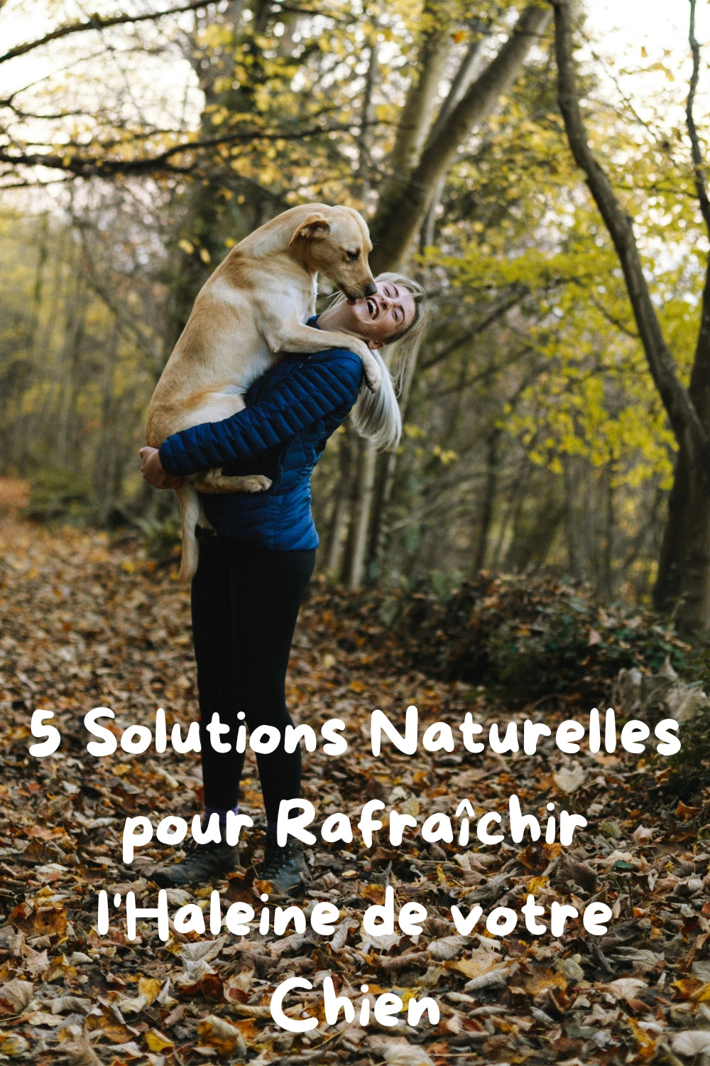5 Astuces Naturelles pour Éliminer la Mauvaise Haleine du Chien