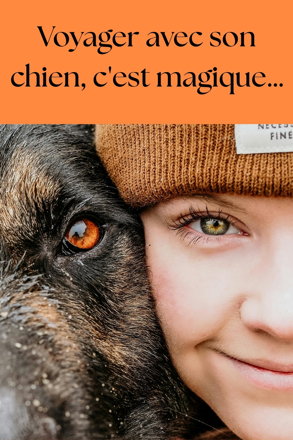 Lits et Coussins pour Chien de Voyage, Offrez Confort et Sécurité à Votre Compagnon !