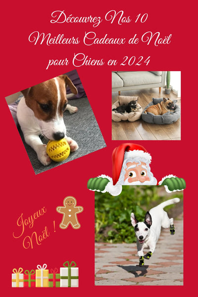 Découvrez Nos 10 Meilleurs Cadeaux de Noël pour Chiens en 2024