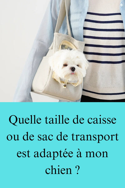 Quelle taille de caisse ou de sac de transport est adaptée à mon chien ?