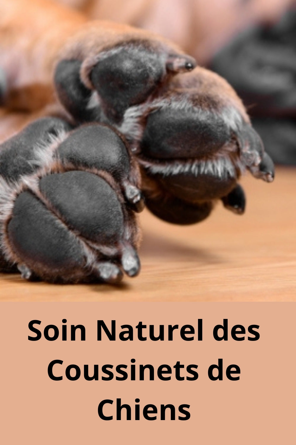 Des soins naturel pour coussinet de chien.