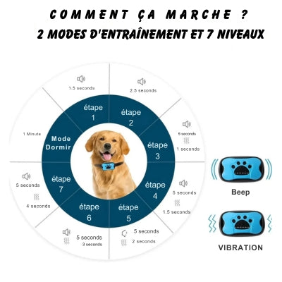 2_modes_d_entrainement_et_7_niveaux_de_sensibilite