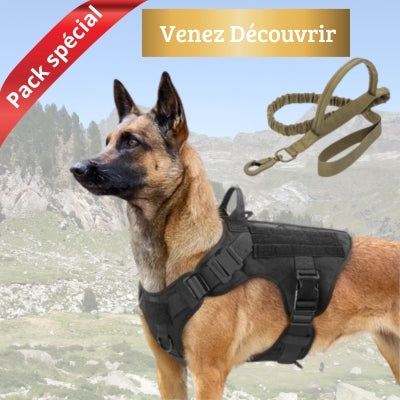 Cadeau pour chien - Harnais Anti-Traction + laisse