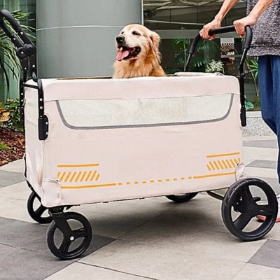 Poussette pour chien grande taille – Chariot robuste 80 kg